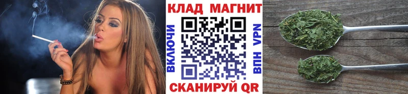 Купить наркоту Жиздра Конопля  Меф  Alpha PVP  ГАШИШ  Галлюциногенные грибы  КОКАИН 