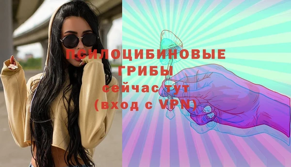 ешки Алзамай