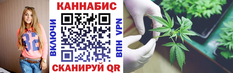 Марихуана Amnesia  Жиздра 